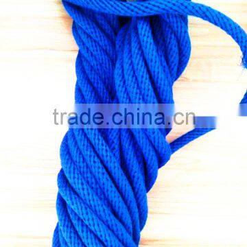 11mm diameter 100 percent mercerized cotton leash blue for pet accessory