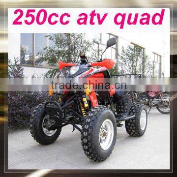 cheap zongshen 250cc atv