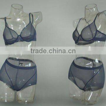 transparent plastic torso mannequin