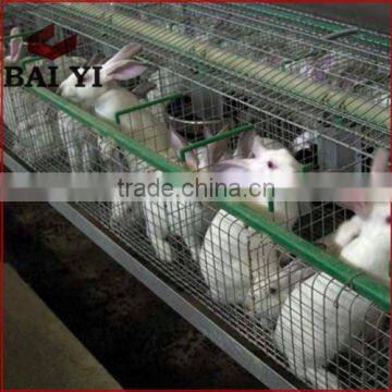 H Type & A Type & Automatic High Quality Wire Mesh Rabbit Cage For Sale photo-5