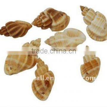 Spiral Shell Loose Beads, Dyed, Peru(BSHE-S059)