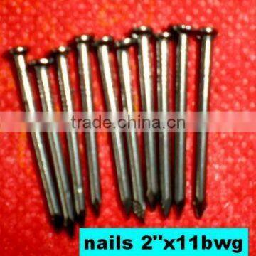 Bright Common wire nails