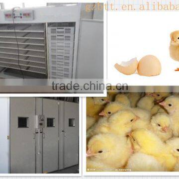 Economic egg incubator in factory price