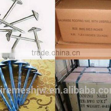 Umbrella Head Nails/Plain Shank Roofing Nails/Common Iron Wire Nails