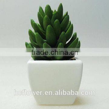 Factory Wholesale Bulk Cheap Small Ceramic Pot Plant for Home Decoration