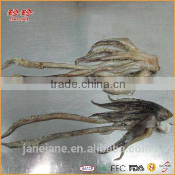 Frozen Squid Tentacle - Ommastrephes Bartrami photo-3