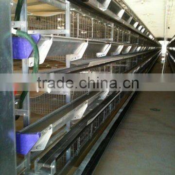 Durable Automatic Hot Dip Galvanized Layer Poultry Cage photo-6