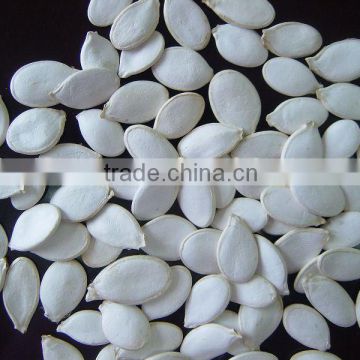 snow white pumpkin seeds