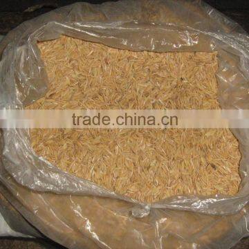 RICE HUSK POWDER > 1MM FOR GOOD QUALITY & CHEAP PRICE photo-3