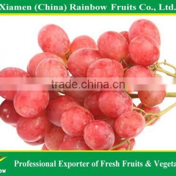 export delicious sweet fresh red globe grape red globe grape