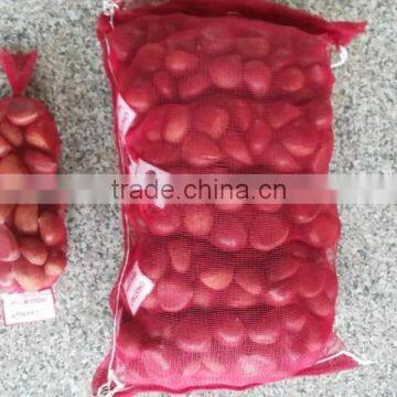 Fresh Chestnut photo-3