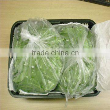 Fresh Snow Peas and Fresh Snap Peas Export to Australia