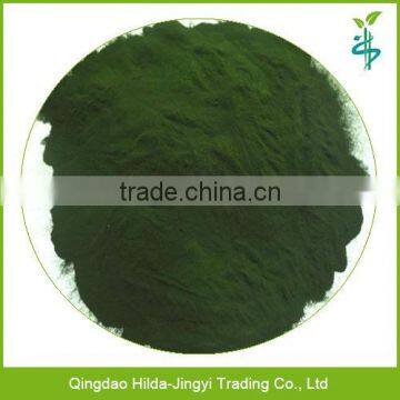 High Quality Spirulina Powder for Sale