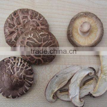 Search products dried shiitake mushroom buy wholesale from china