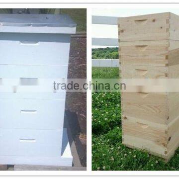 Dadant Beehive/ Langstroth Beehive / British Beehive photo-2