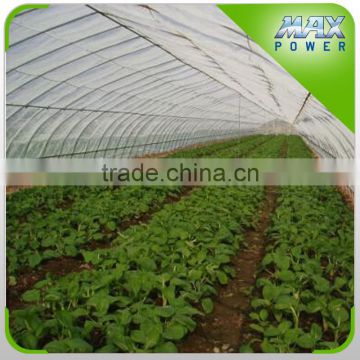 Greenhouse anti insect net