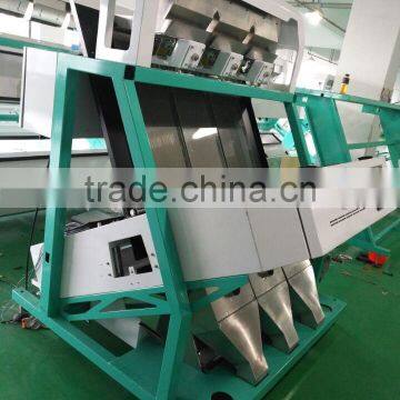 Intelligent CCD Dehydrated Garlic Flakes Color Sorting Sorter Machine photo-4