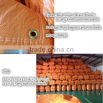Hot Selling Reinforced Plastic Tarpaulin With Eyelets pe Tarpaulin Canvas Sheet photo-2