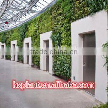 Artificial Green Wall for Office /hotel/home Decoration photo-5