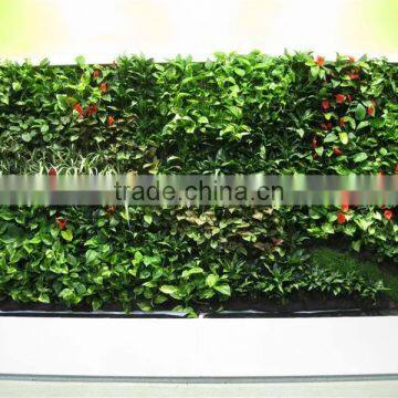 Vertical garden module Jupiwall