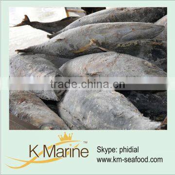 Raw material albacore fish for cooked loin