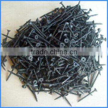 Black Phosphated Drywall Screws From Guangzhou photo-6