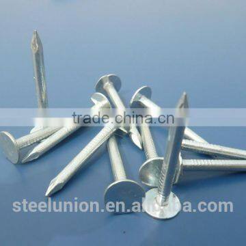 Galvanized Clout Nails With Flat Head/ ROOFING CLOUT NAILS /FALT CLOUT NAILS photo-3