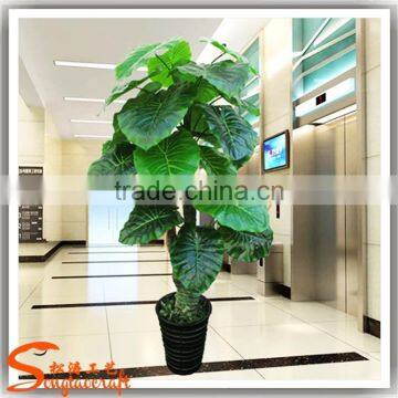 Wholsale China plastiac potted tree indoor decoration artificial green tree fake indoor green tree