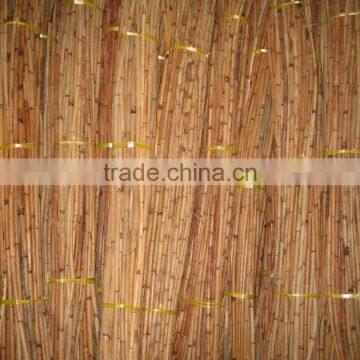 Red Water Rattan Cane photo-3
