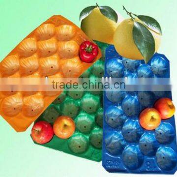 Customed SGS/FDA Testing PP Fruit Pear Alveols Tray