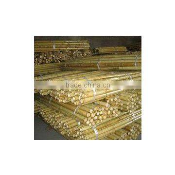 Hot Sale Vase and Bamboo Sticks