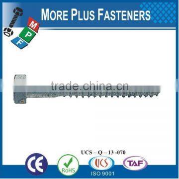 Made in Taiwan Lag Screw for Anchors photo-5