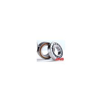 JINB cylindrical roller bearing NJ 2210 NU-NU 411