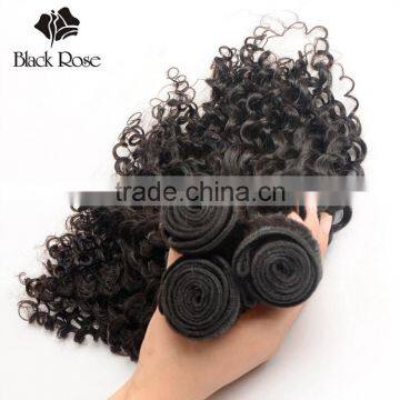 Black Rose Shengyuan Hair Factory Original Curly Indian Human Hair photo-5