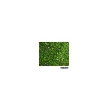 Landscape Turf