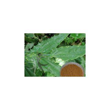 Epimedium Extract plant extract factory