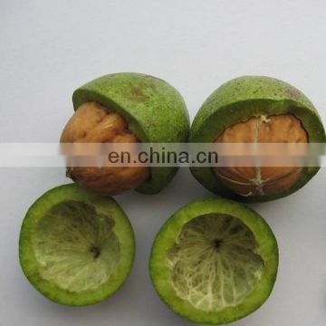 Dry walnut cracker/ walnut shell separating machine/walnut cracking machine for sale