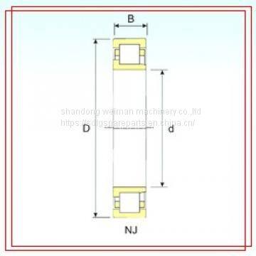 ISB Bearing