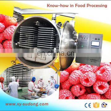 Popular Freeze Dried Food Machine of Freeze Dryer Price of Lyophilisation Manufacturer photo-3