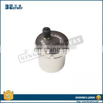 BWVA Good Reputation Factory Most Attractive Safty Valve photo-5