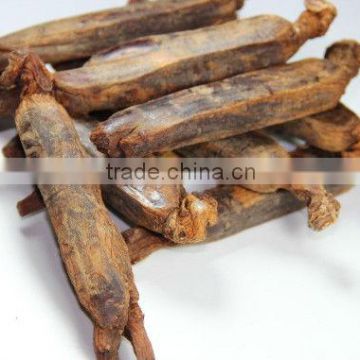 Korean Honey Red Ginseng, panax ginseng