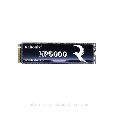 XP5000 Series M.2 NVMe 2280 PCIe4.0x4 SSD, Read Speed up to 5000MB/s