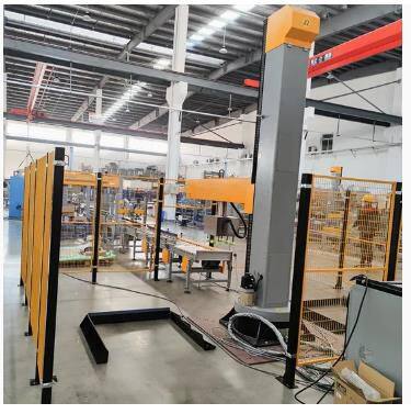 Carton Bag Palletizier Machine, Automatic Single Column Palletizer photo-4