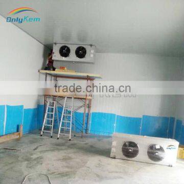 Forzen Meat Walk in Cold Storages for Indian Market photo-4