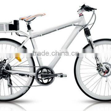 Electric Surrey Bike