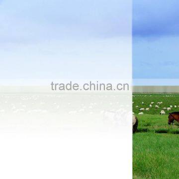 Stretch Pe Film Self-adhesive Protective Film For Window Glass photo-4