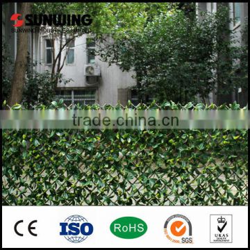 fence cover plastic grape vine plant ivy screen                        
                                                                                Supplier's Choice