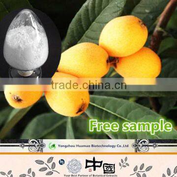 2015 New products high quality pure natural organic Loquat Ursolic Acid