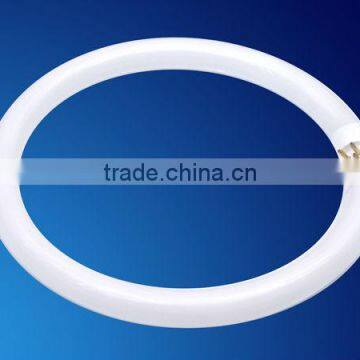 high quality T5 circular fluorescent lamp