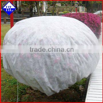 Agricultural/Garden use PP spunbonded nonwoven fabric